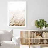 Shop Winter Pampas Reeds Photo Art Print a coastal themed photography wall art print from The Print Emporium wall artwork collection - Buy Australian made fine art poster and framed prints for the home and your interior decor, TPE-1135-AP