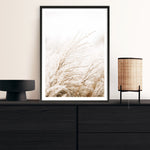 Shop Winter Pampas Reeds Photo Art Print a coastal themed photography wall art print from The Print Emporium wall artwork collection - Buy Australian made fine art poster and framed prints for the home and your interior decor, TPE-1135-AP