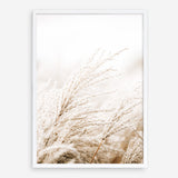 Shop Winter Pampas Reeds Photo Art Print a coastal themed photography wall art print from The Print Emporium wall artwork collection - Buy Australian made fine art poster and framed prints for the home and your interior decor, TPE-1135-AP