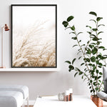 Shop Winter Pampas Reeds Photo Art Print a coastal themed photography wall art print from The Print Emporium wall artwork collection - Buy Australian made fine art poster and framed prints for the home and your interior decor, TPE-1135-AP