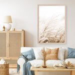 Shop Winter Pampas Reeds Photo Art Print a coastal themed photography wall art print from The Print Emporium wall artwork collection - Buy Australian made fine art poster and framed prints for the home and your interior decor, TPE-1135-AP
