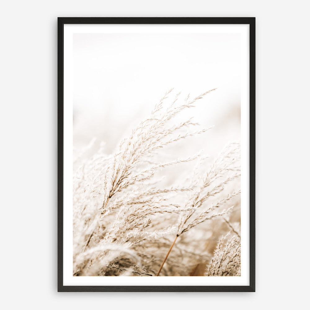 Shop Winter Pampas Reeds Photo Art Print a coastal themed photography wall art print from The Print Emporium wall artwork collection - Buy Australian made fine art poster and framed prints for the home and your interior decor, TPE-1135-AP