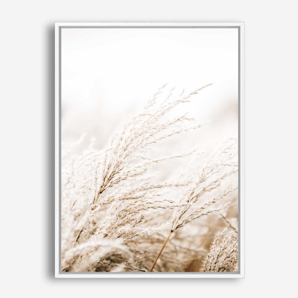 Shop Winter Pampas Reeds Photo Canvas Print a coastal themed photography framed stretched canvas print from The Print Emporium wall artwork collection - Buy Australian made prints for the home and your interior decor space, TPE-1135-CA-35X46-NF