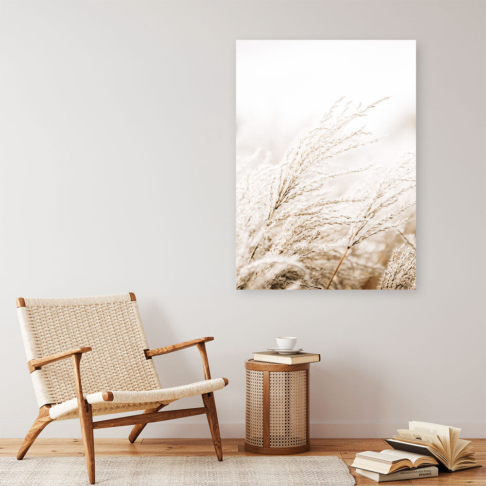 Shop Winter Pampas Reeds Photo Canvas Print a coastal themed photography framed stretched canvas print from The Print Emporium wall artwork collection - Buy Australian made prints for the home and your interior decor space, TPE-1135-CA-35X46-NF