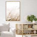 Shop Winter Pampas Reeds Photo Canvas Print a coastal themed photography framed stretched canvas print from The Print Emporium wall artwork collection - Buy Australian made prints for the home and your interior decor space, TPE-1135-CA-35X46-NF