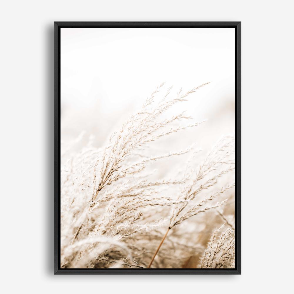 Shop Winter Pampas Reeds Photo Canvas Print a coastal themed photography framed stretched canvas print from The Print Emporium wall artwork collection - Buy Australian made prints for the home and your interior decor space, TPE-1135-CA-35X46-NF