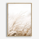 Shop Winter Pampas Reeds Photo Canvas Print a coastal themed photography framed stretched canvas print from The Print Emporium wall artwork collection - Buy Australian made prints for the home and your interior decor space, TPE-1135-CA-35X46-NF