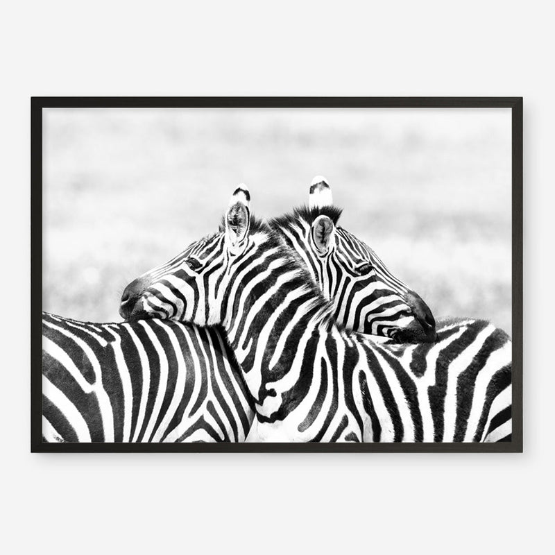 Shop Zebra Hug Photo Art Print a photography wall art print from The Print Emporium wall artwork collection - Buy Australian made fine art poster and framed prints for the home and your interior decor room, TPE-876-AP