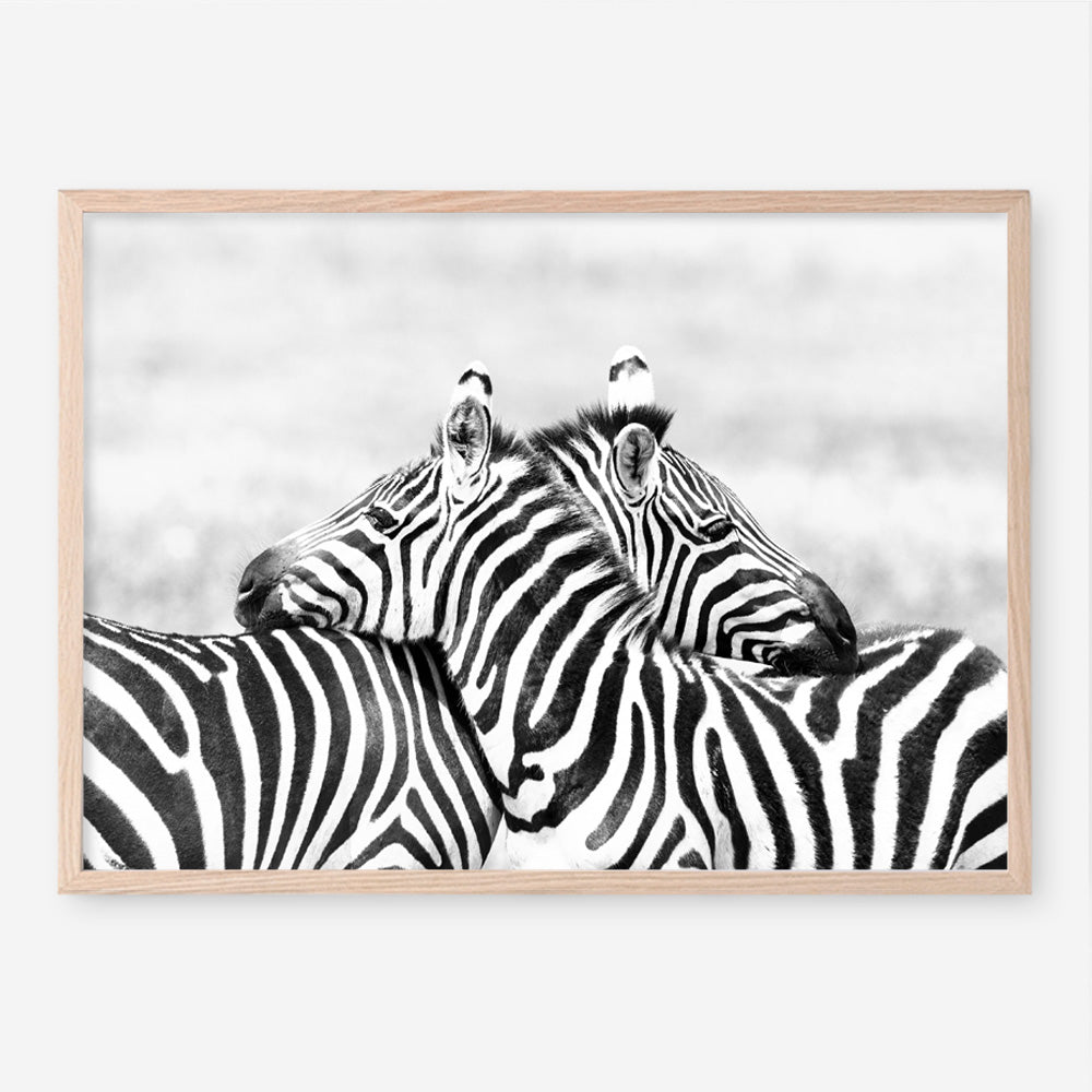 Shop Zebra Hug Photo Art Print a photography wall art print from The Print Emporium wall artwork collection - Buy Australian made fine art poster and framed prints for the home and your interior decor room, TPE-876-AP