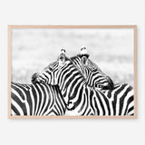 Shop Zebra Hug Photo Art Print a photography wall art print from The Print Emporium wall artwork collection - Buy Australian made fine art poster and framed prints for the home and your interior decor room, TPE-876-AP