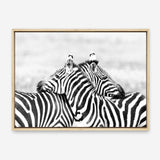 Shop Zebra Hug Photo Canvas Print a photography framed stretched canvas print from The Print Emporium wall artwork collection - Buy Australian made prints for the home and your interior decor space, TPE-876-CA-35X46-NF