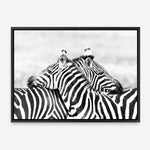 Shop Zebra Hug Photo Canvas Print a photography framed stretched canvas print from The Print Emporium wall artwork collection - Buy Australian made prints for the home and your interior decor space, TPE-876-CA-35X46-NF