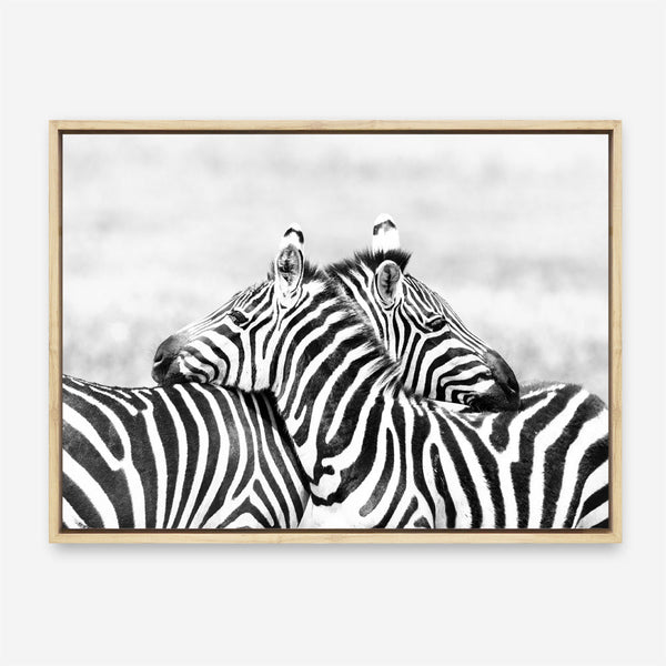 Shop Zebra Hug Photo Canvas Print a photography framed stretched canvas print from The Print Emporium wall artwork collection - Buy Australian made prints for the home and your interior decor space, TPE-876-CA-35X46-NF