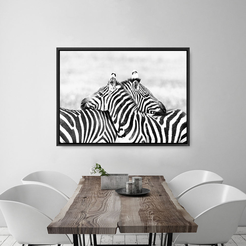 Shop Zebra Hug Photo Canvas Print a photography framed stretched canvas print from The Print Emporium wall artwork collection - Buy Australian made prints for the home and your interior decor space, TPE-876-CA-35X46-NF