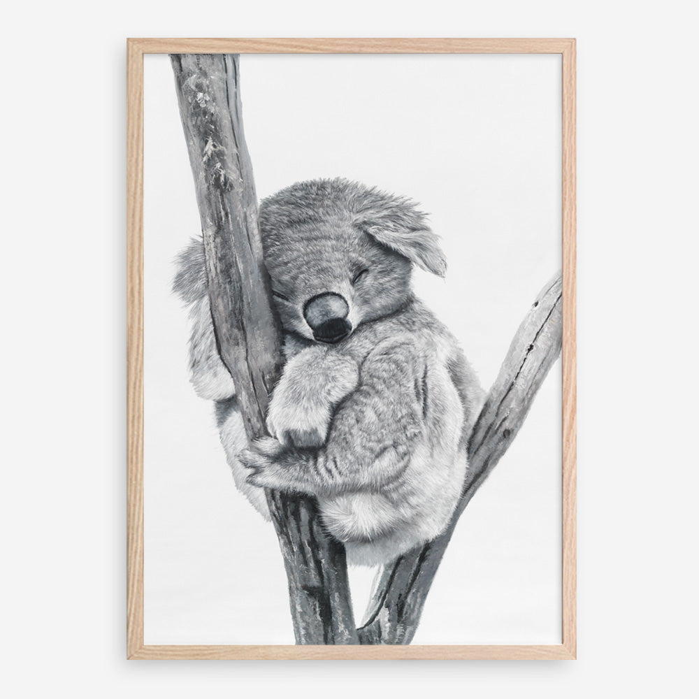 Shop Sleeping Koala Art Print abstract painted design wall artwork prints by The Print Emporium buy Australian made fine art poster and framed canvas wall decor prints for the home and add some interior inspiration for your bedroom living room dining room or home office, TPE-353-AP