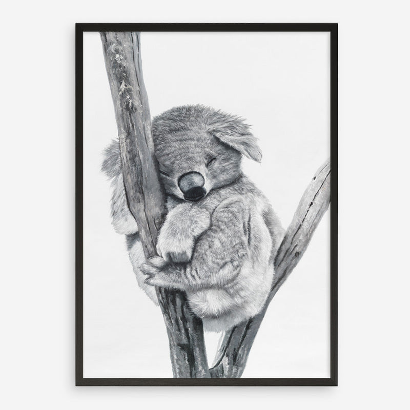 Shop Sleeping Koala Art Print abstract painted design wall artwork prints by The Print Emporium buy Australian made fine art poster and framed canvas wall decor prints for the home and add some interior inspiration for your bedroom living room dining room or home office, TPE-353-AP