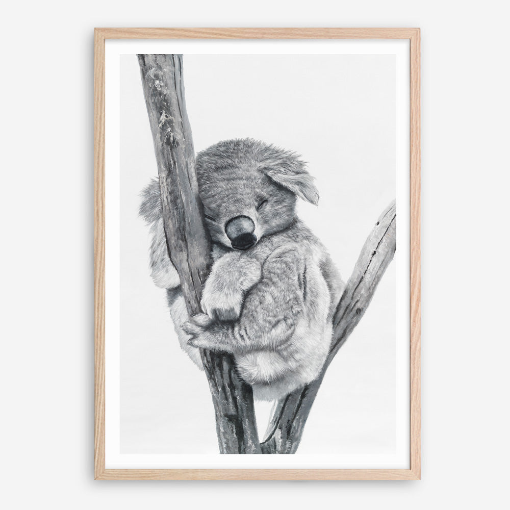 Shop Sleeping Koala Art Print abstract painted design wall artwork prints by The Print Emporium buy Australian made fine art poster and framed canvas wall decor prints for the home and add some interior inspiration for your bedroom living room dining room or home office, TPE-353-AP