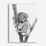 Shop Sleeping Koala Canvas Print abstract painted design wall artwork prints by The Print Emporium buy Australian made fine art poster and framed canvas wall decor prints for the home and add some interior inspiration for your bedroom living room dining room or home officeTPE-353-CA-35X46-NF