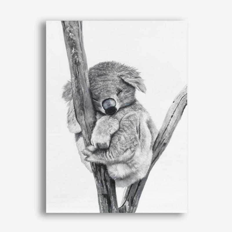 Shop Sleeping Koala Canvas Print abstract painted design wall artwork prints by The Print Emporium buy Australian made fine art poster and framed canvas wall decor prints for the home and add some interior inspiration for your bedroom living room dining room or home officeTPE-353-CA-35X46-NF