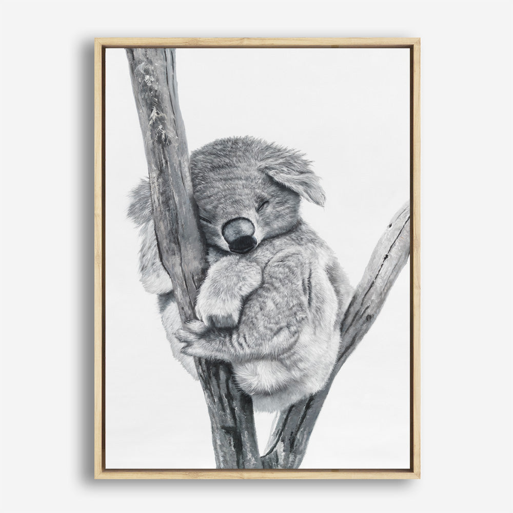 Shop Sleeping Koala Canvas Print abstract painted design wall artwork prints by The Print Emporium buy Australian made fine art poster and framed canvas wall decor prints for the home and add some interior inspiration for your bedroom living room dining room or home officeTPE-353-CA-35X46-NF