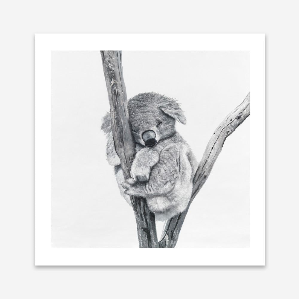 Shop Sleeping Koala (Square) Art Print abstract painted design wall artwork prints by The Print Emporium buy Australian made fine art poster and framed canvas wall decor prints for the home and add some interior inspiration for your bedroom living room dining room or home office, TPE-333-AP