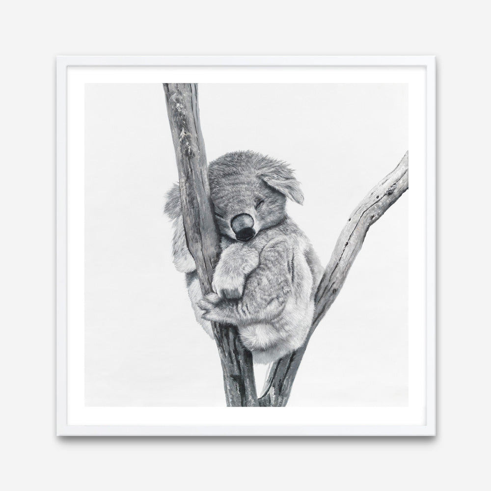 Shop Sleeping Koala (Square) Art Print abstract painted design wall artwork prints by The Print Emporium buy Australian made fine art poster and framed canvas wall decor prints for the home and add some interior inspiration for your bedroom living room dining room or home office, TPE-333-AP
