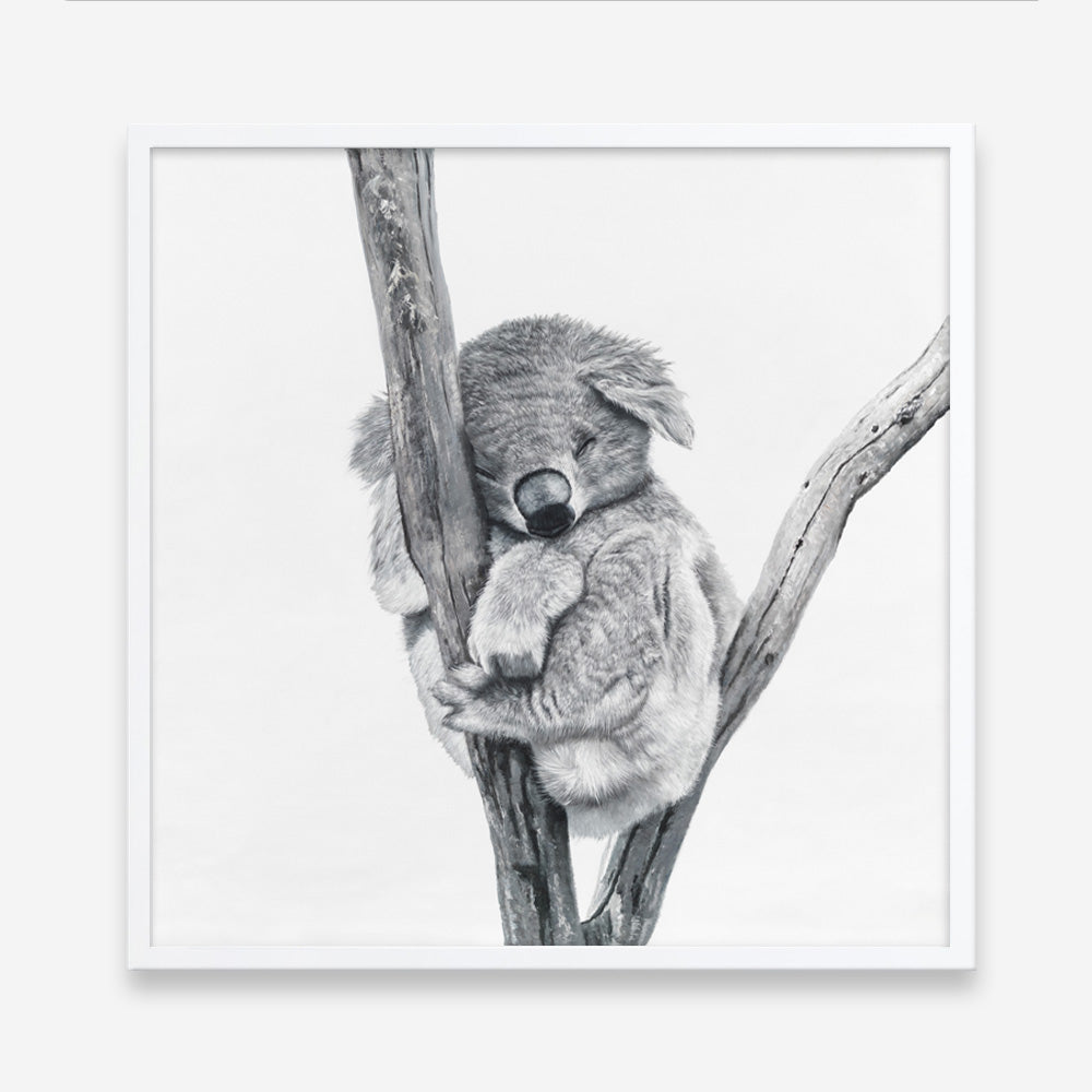 Shop Sleeping Koala (Square) Art Print abstract painted design wall artwork prints by The Print Emporium buy Australian made fine art poster and framed canvas wall decor prints for the home and add some interior inspiration for your bedroom living room dining room or home office, TPE-333-AP