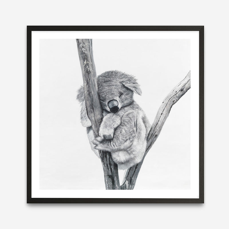 Shop Sleeping Koala (Square) Art Print abstract painted design wall artwork prints by The Print Emporium buy Australian made fine art poster and framed canvas wall decor prints for the home and add some interior inspiration for your bedroom living room dining room or home office, TPE-333-AP