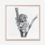 Shop Sleeping Koala (Square) Art Print abstract painted design wall artwork prints by The Print Emporium buy Australian made fine art poster and framed canvas wall decor prints for the home and add some interior inspiration for your bedroom living room dining room or home office, TPE-333-AP