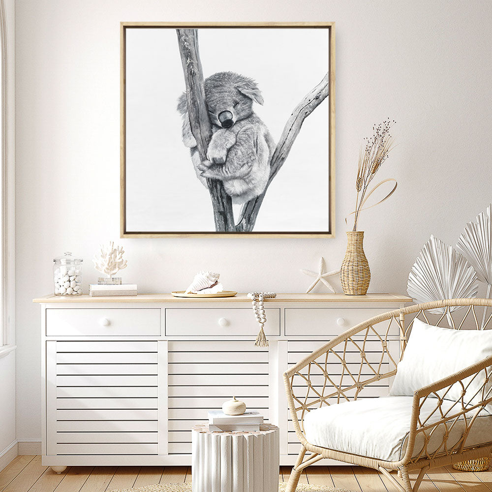 Shop Sleeping Koala (Square) Canvas Print abstract painted design wall artwork prints by The Print Emporium buy Australian made fine art poster and framed canvas wall decor prints for the home and add some interior inspiration for your bedroom living room dining room or home officeTPE-333-CA-40X40-NF