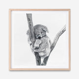 Shop Sleeping Koala (Square) Canvas Print abstract painted design wall artwork prints by The Print Emporium buy Australian made fine art poster and framed canvas wall decor prints for the home and add some interior inspiration for your bedroom living room dining room or home officeTPE-333-CA-40X40-NF