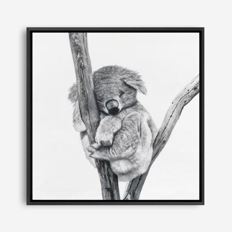 Shop Sleeping Koala (Square) Canvas Print abstract painted design wall artwork prints by The Print Emporium buy Australian made fine art poster and framed canvas wall decor prints for the home and add some interior inspiration for your bedroom living room dining room or home officeTPE-333-CA-40X40-NF