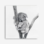 Shop Sleeping Koala (Square) Canvas Print abstract painted design wall artwork prints by The Print Emporium buy Australian made fine art poster and framed canvas wall decor prints for the home and add some interior inspiration for your bedroom living room dining room or home officeTPE-333-CA-40X40-NF