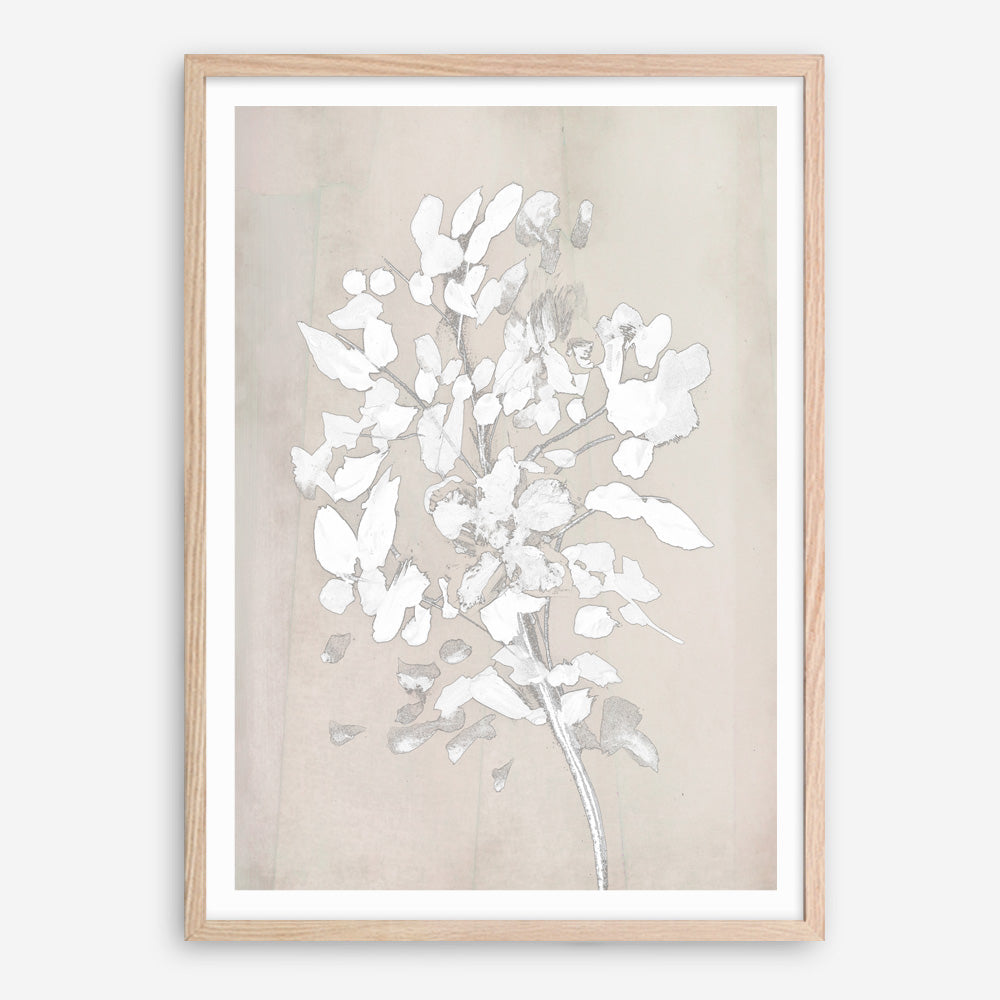 Shop Soft Bloom Art Print a painted floral themed abstract painted wall art print from The Print Emporium wall artwork collection - Buy Australian made fine art painting style poster and framed prints for the home and your interior decor room, TPE-DH-096-AP