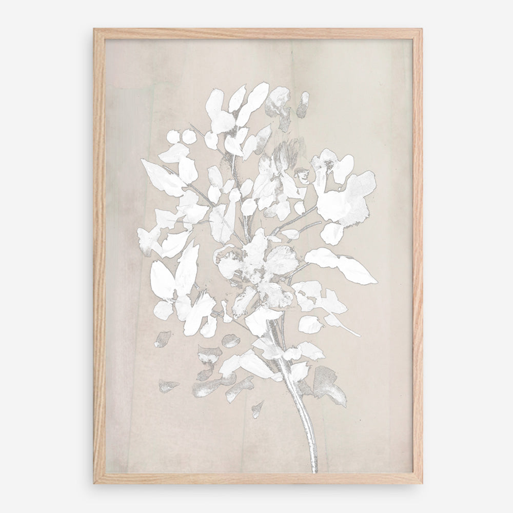 Shop Soft Bloom Art Print a painted floral themed abstract painted wall art print from The Print Emporium wall artwork collection - Buy Australian made fine art painting style poster and framed prints for the home and your interior decor room, TPE-DH-096-AP