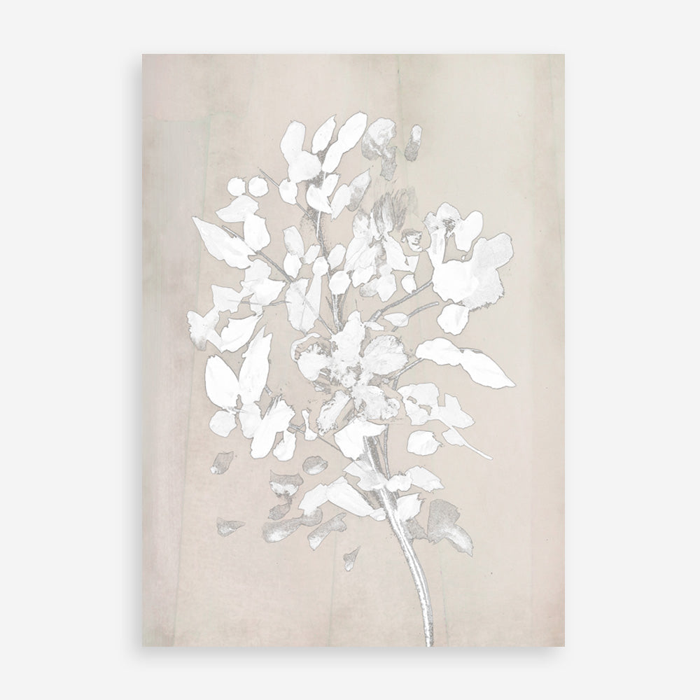 Shop Soft Bloom Art Print a painted floral themed abstract painted wall art print from The Print Emporium wall artwork collection - Buy Australian made fine art painting style poster and framed prints for the home and your interior decor room, TPE-DH-096-AP