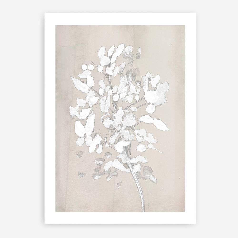 Shop Soft Bloom Art Print a painted floral themed abstract painted wall art print from The Print Emporium wall artwork collection - Buy Australian made fine art painting style poster and framed prints for the home and your interior decor room, TPE-DH-096-AP