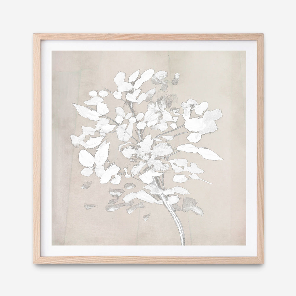 Shop Soft Bloom (Square) Art Print a painted floral themed abstract painted wall art print from The Print Emporium wall artwork collection - Buy Australian made fine art painting style poster and framed prints for the home and your interior decor room, TPE-DH-319-AP