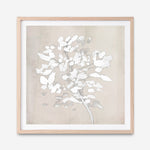 Shop Soft Bloom (Square) Art Print a painted floral themed abstract painted wall art print from The Print Emporium wall artwork collection - Buy Australian made fine art painting style poster and framed prints for the home and your interior decor room, TPE-DH-319-AP