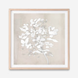 Shop Soft Bloom (Square) Art Print a painted floral themed abstract painted wall art print from The Print Emporium wall artwork collection - Buy Australian made fine art painting style poster and framed prints for the home and your interior decor room, TPE-DH-319-AP