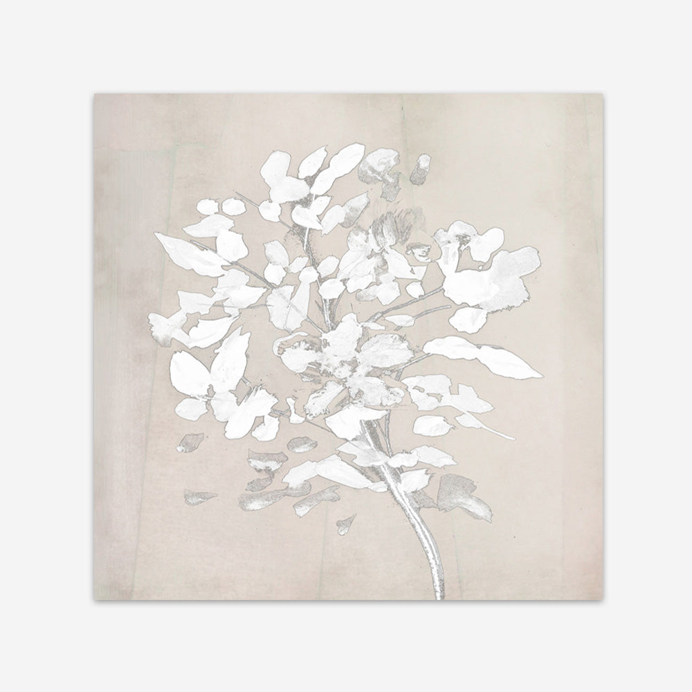 Shop Soft Bloom (Square) Art Print a painted floral themed abstract painted wall art print from The Print Emporium wall artwork collection - Buy Australian made fine art painting style poster and framed prints for the home and your interior decor room, TPE-DH-319-AP