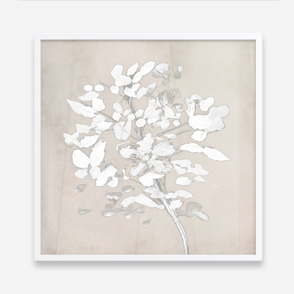 Shop Soft Bloom (Square) Art Print a painted floral themed abstract painted wall art print from The Print Emporium wall artwork collection - Buy Australian made fine art painting style poster and framed prints for the home and your interior decor room, TPE-DH-319-AP