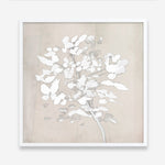 Shop Soft Bloom (Square) Art Print a painted floral themed abstract painted wall art print from The Print Emporium wall artwork collection - Buy Australian made fine art painting style poster and framed prints for the home and your interior decor room, TPE-DH-319-AP