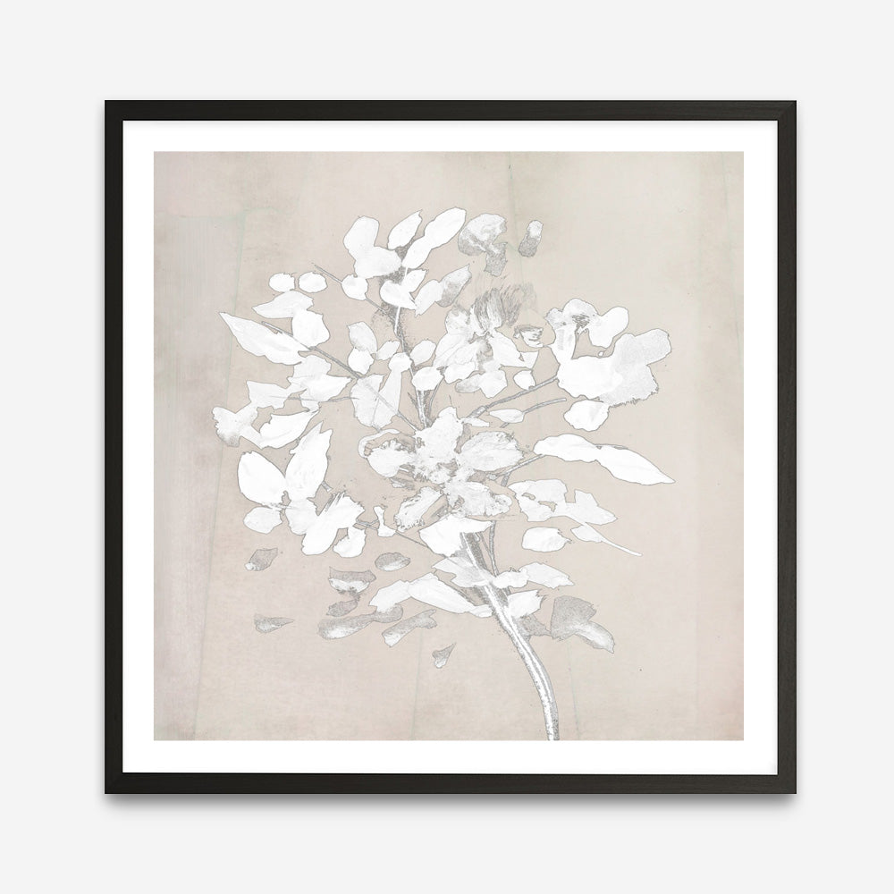 Shop Soft Bloom (Square) Art Print a painted floral themed abstract painted wall art print from The Print Emporium wall artwork collection - Buy Australian made fine art painting style poster and framed prints for the home and your interior decor room, TPE-DH-319-AP