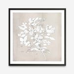 Shop Soft Bloom (Square) Art Print a painted floral themed abstract painted wall art print from The Print Emporium wall artwork collection - Buy Australian made fine art painting style poster and framed prints for the home and your interior decor room, TPE-DH-319-AP