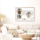 Palm Valley Photo Art Print