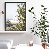 Olive Branch View Photo Art Print