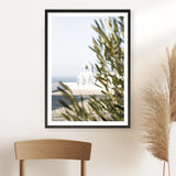 Olive Branch View Photo Art Print