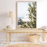 Olive Branch View Photo Art Print