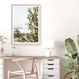 Olive Branch View Photo Art Print